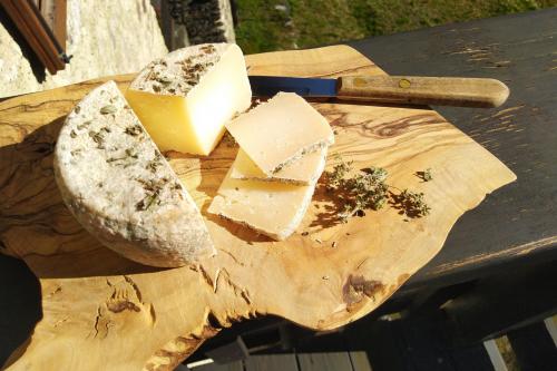 Formaggio di capra biologico stagionato con erbe selvatiche per degustazione in Valtellina