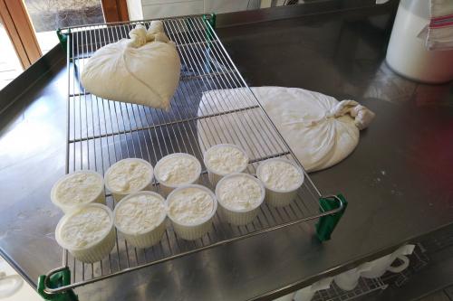 Lavorazione del latte di capra per la preparazione di formaggio fresco e biologico in Valtellina
