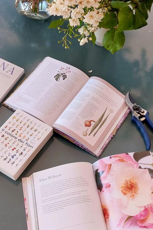 Libri, strumenti e tutto il necessario per apprendere le tecniche usate per la creazione di una composizione floreale nei dintorni di Brescia