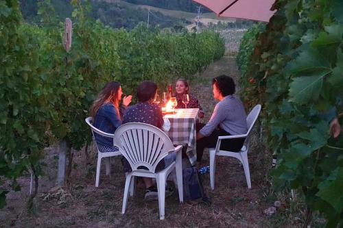 Un gruppo di amiche degustano una bottiglia di vino nero in una vigna biologica in Oltrepò Pavese