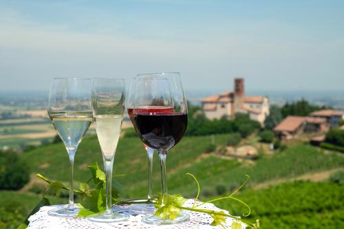 Degustazione di vini biologici in Oltrepò Pavese su terrazza panoramica