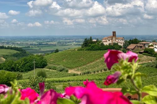 Vista panoramica dalla terrazza di una cantina biologica in Oltrepò Pavese