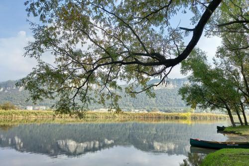 Foto di paesaggio della Palude del Brivio in Lombardia sullo sfondo le montagne