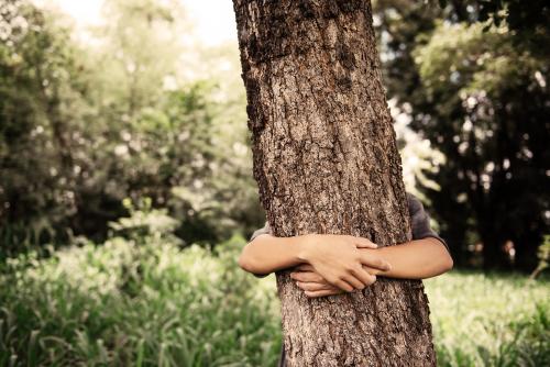 Un ragazzo che abbraccia un albero durante una esperienza di Forest Bathing in Lombardia