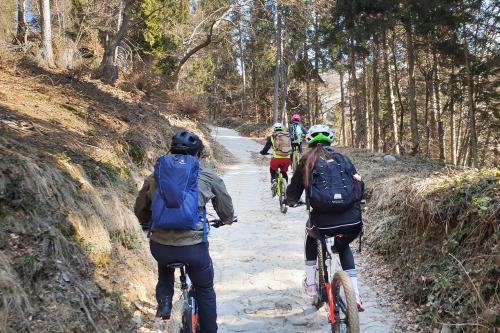 Un gruppo di ragazzi in sella a delle ebike stanno percorrendo una strada lungo il Parco dei Colli