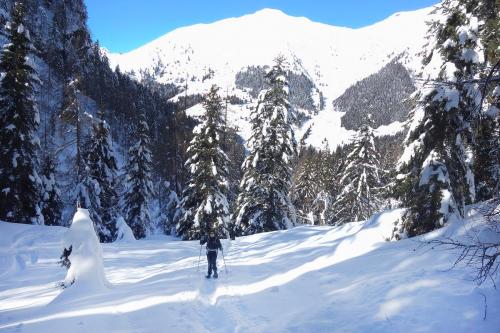 Una ragazza sta facendo una escursione con le ciaspole sulle montagne vicino a Bergamo in Lombardia