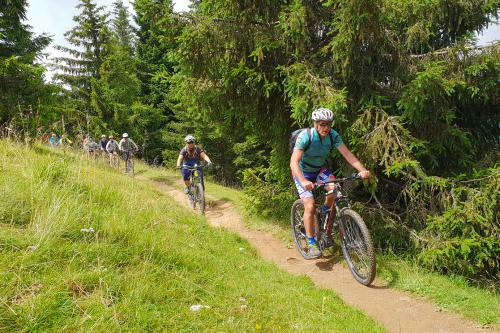 Alcune persone in sella a delle bici pedalano in un sentiero di montagna in salita in Val Seriana in Lombardia