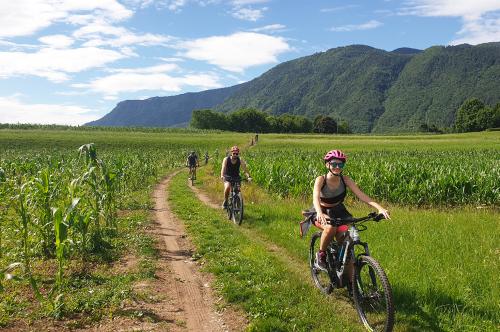 Dei ragazzi pedalano in sella a delle ebike in un campo di mais non lontano da Bergamo in Lombardia