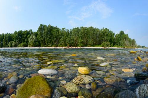 Foto panoramica del fiume Ticino in primo piano dei sassi nell'acqua e sullo sfondo una riva verdeggiante