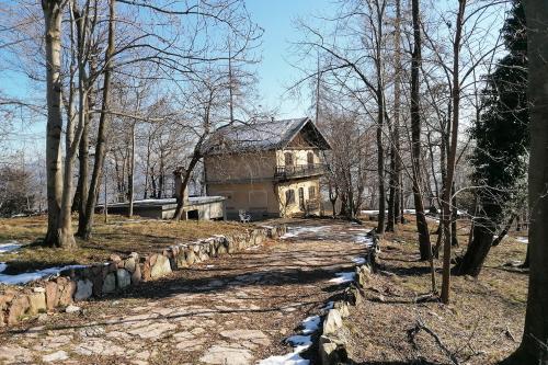 Lungo il sentiero che porta all'Alpe del Vicerè vicino a Como