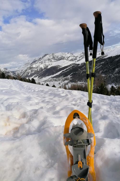 Ciaspole e bastoncini infilati nella neve, sullo sfondo i Piani di artavaggio