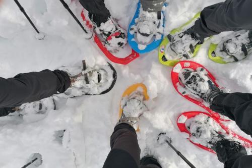 Delle persone in cerchio che indossano delle ciaspole sulla neve