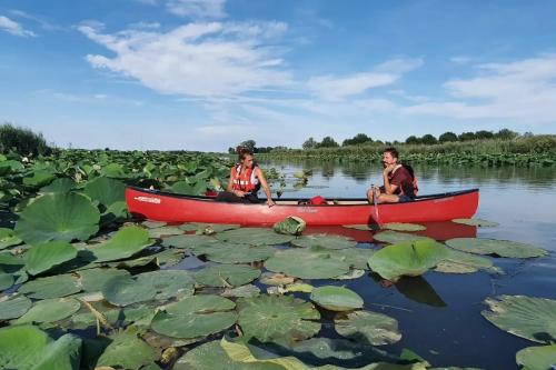 Due ragazzi stanno ammirando lo spettacolo della fioritura dei fiori di loto sul Lago Superiore di Mantova a bordo di una canoa Canadese