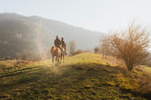 Due persone stanno facendo una passeggiata a cavallo in una giornata d'inverno