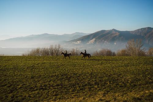 Due ragazzi passeggiano a cavallo su di un prato tra la nebbia sullo sfondo le montagne