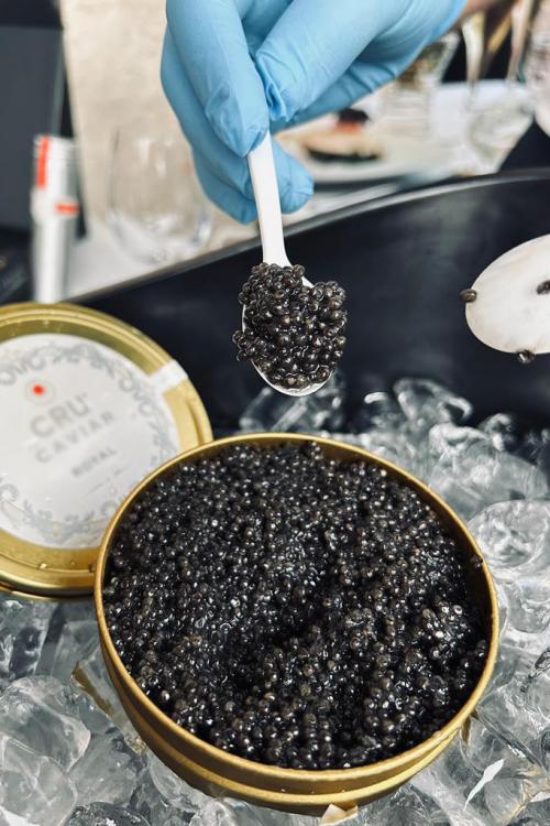 Una mano con un guanto azzurro prende con un cucchiaino del caviale da una confezione tenuta nel ghiaccio
