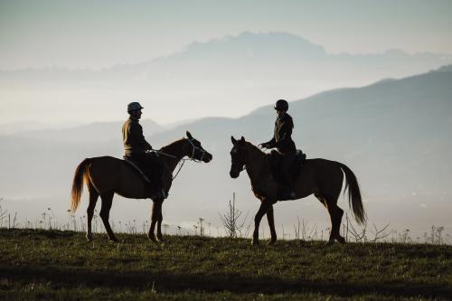 Due ragazzi a cavallo sono fermi uno di fronte all altro al tramonto sullo sfondo si intravedono le montagne