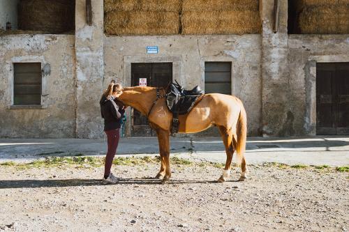 Una ragazza accarezza un cavallo sul muso durante una sosta lungo la passeggiata vicino al Lago di Como in Lombardia