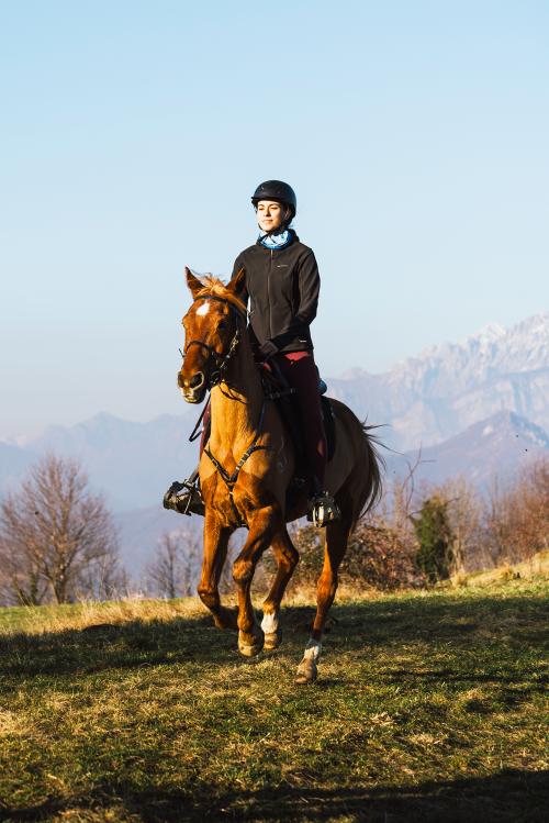 Una ragazza al galoppo nella natura in sella ad un purosangue arabo sullo sfondo le montagne in Lombardia