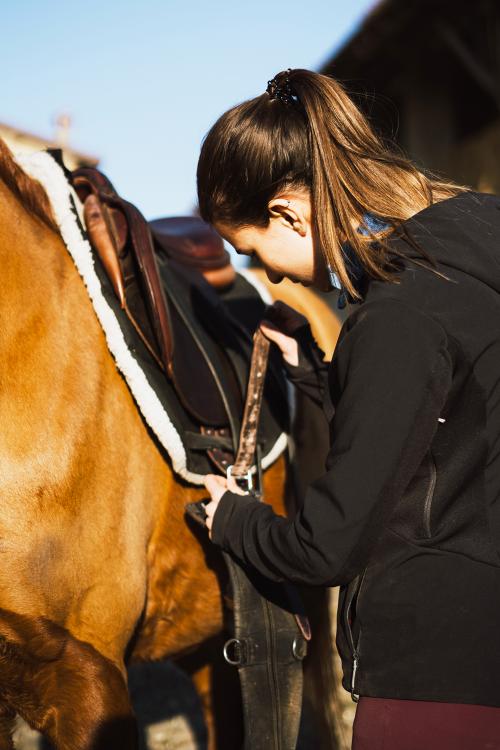 Una ragazza sta posizionando e allacciando la sella su di un cavallo arabo prima di fare una passeggiata nella natura vicino Lecco