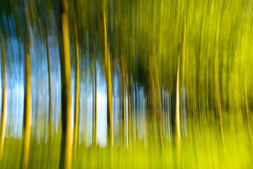 Fotografia di paesaggio utilizzando la tecnica del mosso durante_ il workshop nel Parco del Ticino in Lombardia