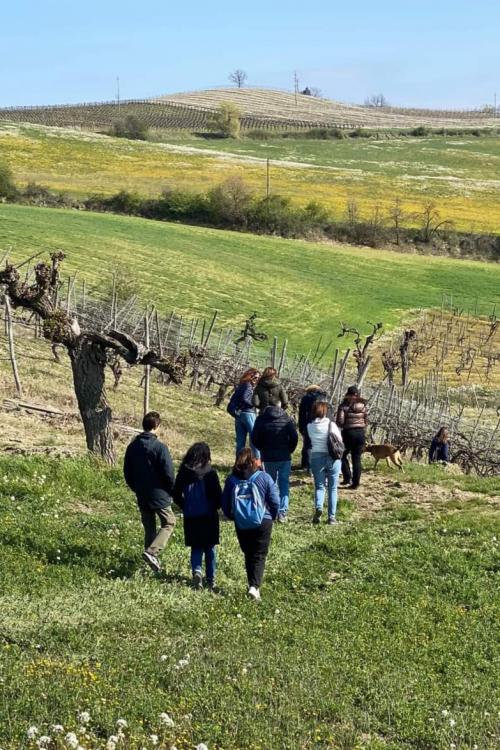Un gruppo di persone durante il soft trekking tra i vigneti con degustazione_ in Oltrepo Pavese in Lombardia