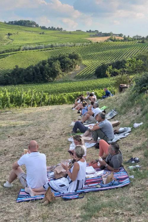Un gruppo di persone in un vigneto in Oltrepò Pavese stanno facendo un picnic in attesa di osservare le stelle con un telescopio