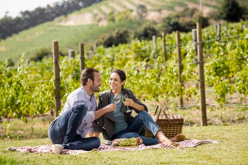 Due ragazzi durante un picnic in un vigneto dell'Oltrepò Pavese in Lombardia degustano del vino bianco