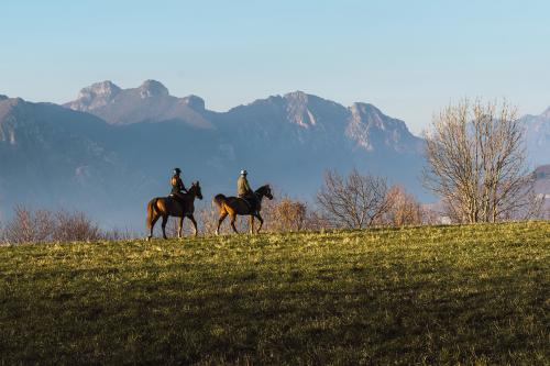 Due cavalieri esperti passeggiano in sella a dei purosangue arabi nei dintorni del Lago di Como in Lombardia