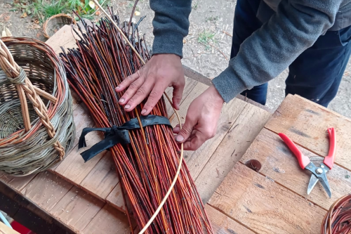 Il tavolo da lavoro di un artigiano durante il corso di cesteria e di intreccio sul Lago di Como