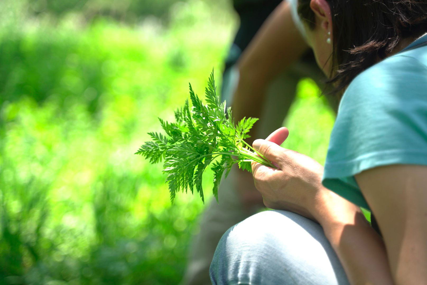 Corso introduttivo di foraging vicino a Varenna sul Lago di Como in Lombardia