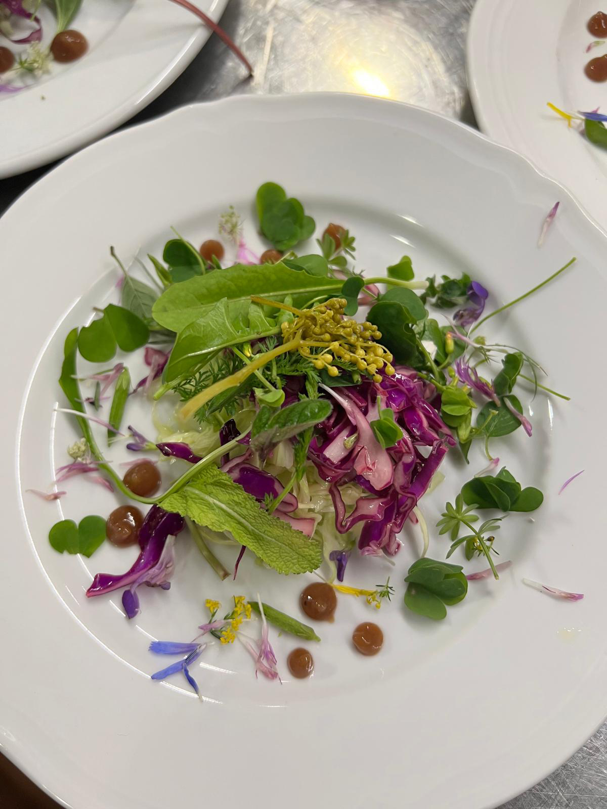 Piatto dello chef con erbe selvatiche raccolte durante l'escursione di foraging sul Lago di Como in Lombardia