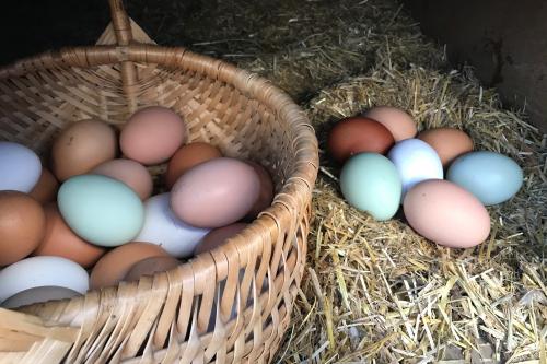 Uova fresche raccolte nel pollaio per preparare la cena del contadino in Lombardia non lontano da Sondrio