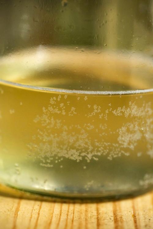Corso base di Kombucha bevanda fermentata a base di te in Lombardia sul Lago di Como