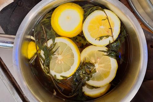 Corso per imparare a preparare il kombucha partendo dallo scoby con degustazione e snack dello chef sul Lago di Como in Lombardia