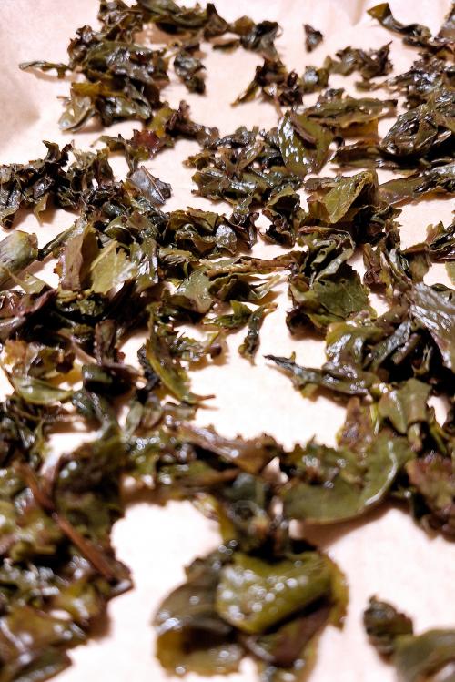 Foglie di te inumidite utilizzate per fare il kombucha durante il corso con degustazione sul Lago di Como in Lombardia