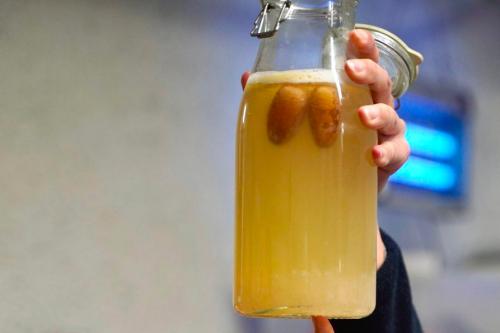 Kombucha prepararata durante il corso sulla fermentazione sul Lago di Como in Lombardia