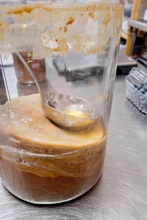 Scoby utilizzato per preparare il kombucha la bevanda fermentata frizzante e acidula durante il corso in Lombardia