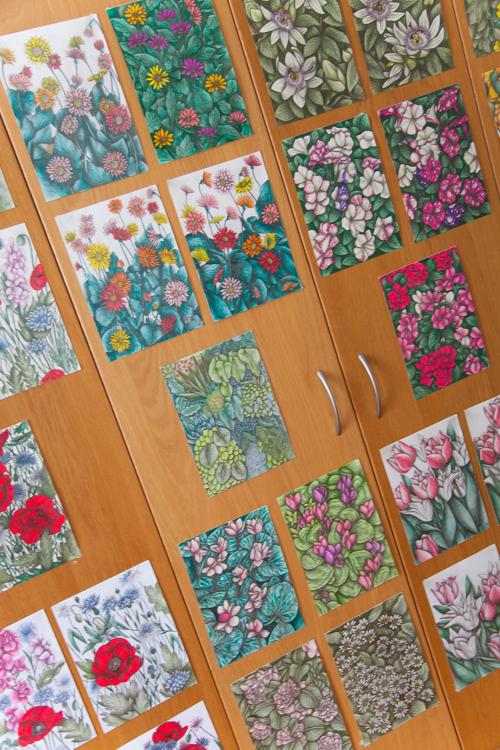 Antine di un armadio ricoperte di illustrazioni botaniche fatte a mano e realizzate con matite su carta