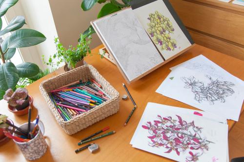 Tutto il materiale necessario per il corso di illustrazione botanica a Milano in Lombardia