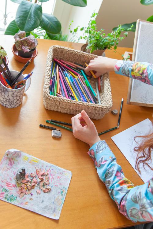 Una artista mentre sceglie le matite colorate da usare per la sua prossima illustrazione botanica a Milano in Lombardia
