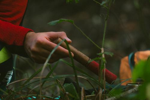 Attività sensoriale di riconnessione con la natura svolta durante una esperienza di forest bathing nel Parco Regionale di Montevecchia in Lombardia