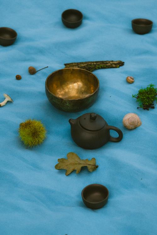 Cerimonia del tè durante una esperienza di forest bathing in Lombardia