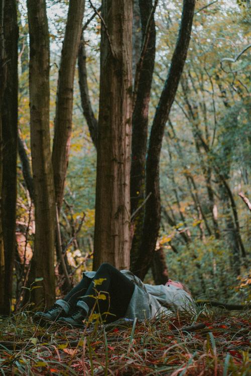 Una ragazza tra gli alberi del bosco allontana lo stress durante la pratica del forest bathing con guida nel Parco Regionale di Montevecchia e della valle del Curone in Lombardia