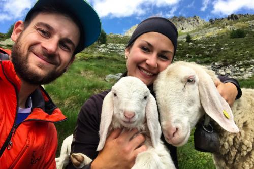 Due ragazzi durante l'esperienza in fattoria si prendono cura delle pecore a Sondrio in Valtellina