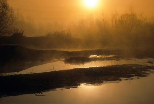 Fotografia del tramonto tra la nebbia nel Parco del Ticino in Lombardia