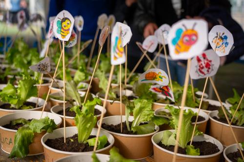 Laboratorio didattico che si svolge durante la visita al villaggio delle zucche in Lombardia vicino a Pavia