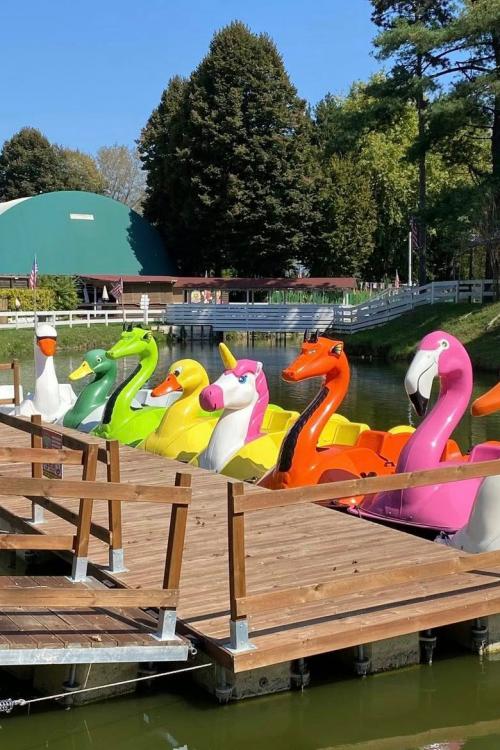 Pedalo nel laghetto del villaggio delle zucche vicino a Pavia in Lombardia