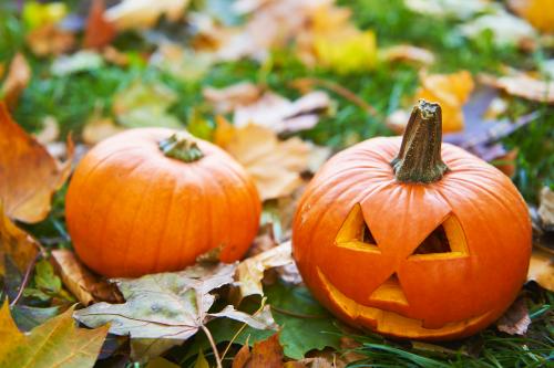 Zucche di halloween in autunno nel villaggio delle zucche in Lombardia vicino a Pavia