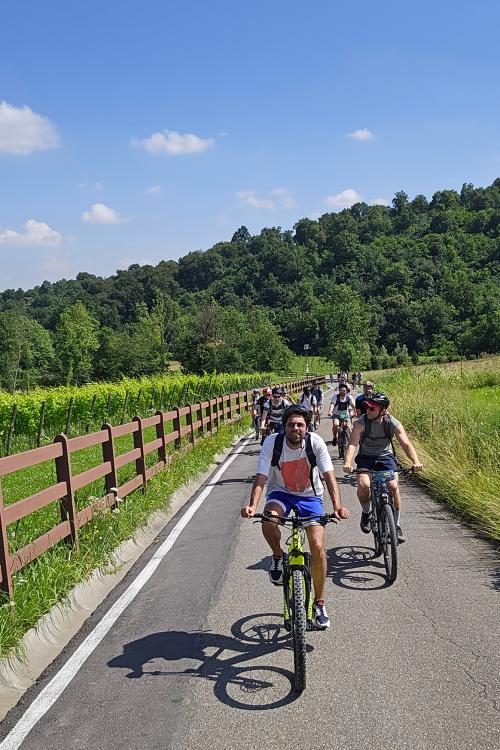 E-bike tour tra i vigneti del Moscato di Scanzo in Lombardia poco distante da Bergamo